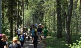 Bėgimas su šunimis