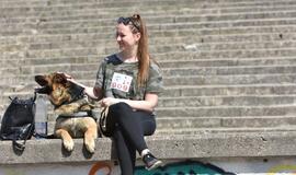 Bėgimas su šunimis