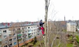 Saulius Kairys: "Nori išsaugoti ir apginti medžius, bet nenori jų prižiūrėti"