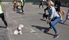 Bėgimas su šunimis