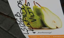 Klaipėdoje auga Vilties medžių sodas