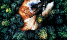 „Pasaulio šerdis“