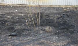 Gaisras Tilžės gatvėje