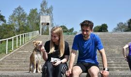 Bėgimas su šunimis