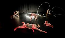 Šokio spektaklis kūdikiams