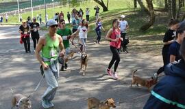 Bėgimas su šunimis