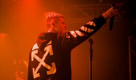 Didžiojo elingo metai