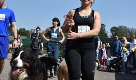 Bėgimas su šunimis