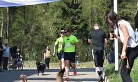 Bėgimas su šunimis