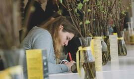 „Jauno teatro dienos 2019“: „Kurį pasirodymą pirktumėte“?