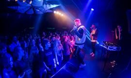 Didžiojo elingo metai