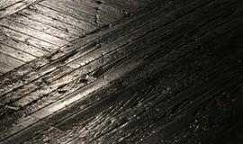 Išdalinti karalienės Luizės medaliai