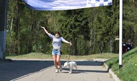 Bėgimas su šunimis