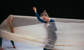 „KlaipėDanse“ šokio dirbtuvės