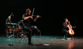 Medinos darbuotojų diena