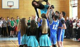 Į Švediją plauks Vytauto Didžiojo gimnazijos komanda