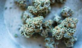 Įkliuvo nuo narkotikų apsvaigęs BMW vairuotojas