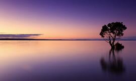 Ketvirtadienio horoskopas 12-ai zodiako ženklų