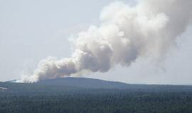 Kuršių nerija – kaip tiksinti bomba