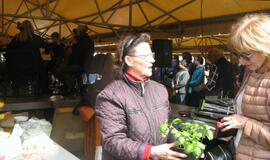 Koncertas Senajame turguje