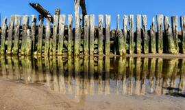 Pasivaikščiojimas pajūriu Šventojoje