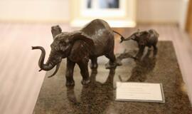 Kruizinis laivas „Queen Victoria“