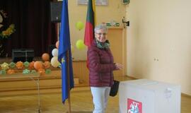 Rinkimai Dainavos apylinkėje