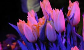 Žurnalistai paminėjo savo profesinę šventę