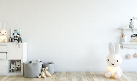 Dėl atimtų vaikų kovojusiai šeimai - dar vienas smūgis