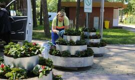 Šventojoje vasaros sezonas prasideda po Joninių