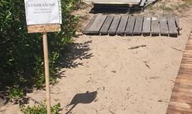 Takelis į moterų pliažą - tik jogams