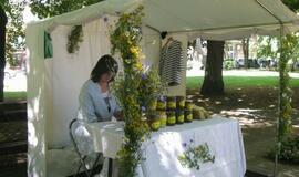 Joninės Klaipėdoje