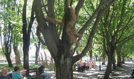 Joninės Klaipėdoje