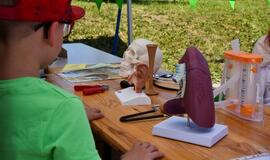 Mokslo ir technologijų šventė