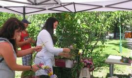 Joninės Klaipėdoje