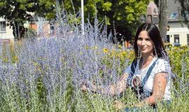 Apie „olandišką bangą“ ir ko dar trūksta Kretingai