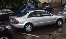 Stovi jau 3 savaites, o savininko - nė kvapo