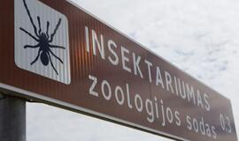 Palangoje neliko nariuotakojų zoologijos sodo