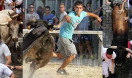 Pamplonoje per bėgimą su buliais subadyti 2 žmonės