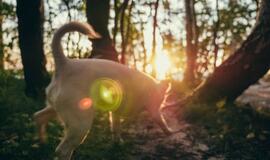 Klaipėdietis įvykdė asmeninį iššūkį