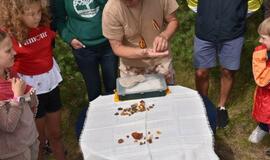 Juodkrantės kurorto dienos