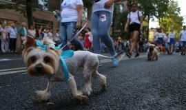 Jūros šventės eisena