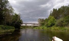 Klaipėdietis įvykdė asmeninį iššūkį