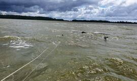 Į krantą traukiamas apvirtęs laivas kurėnas