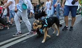 Jūros šventės eisena