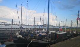 „Dangės flotilė“ vyko prieš vėją