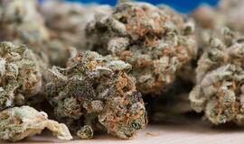 Festivalyje Kairių g. įkliuvo dar du narkotikų turėję asmenys