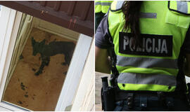 Išvadavusi skriaudžiamą šunį, geradarė sulaukė bauginimų