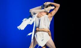 Ukrainos baleto žvaigždės sužavėjo Klaipėdos publiką