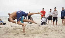 Vasaros paplūdimio sporto festivalis